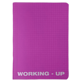 Tp Caiet A5 48 File M Coperta Plastic